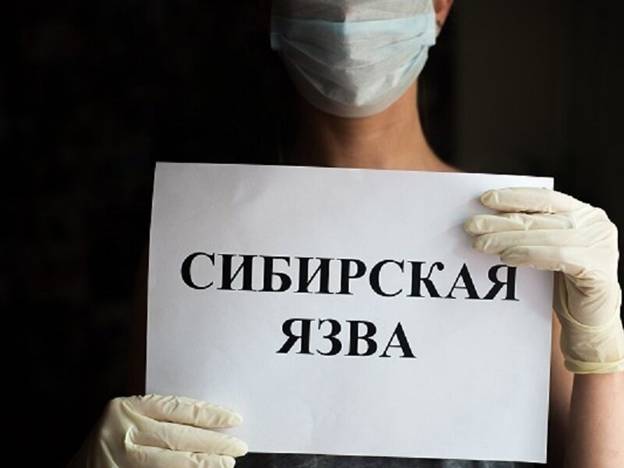Сибирская язва- что это.