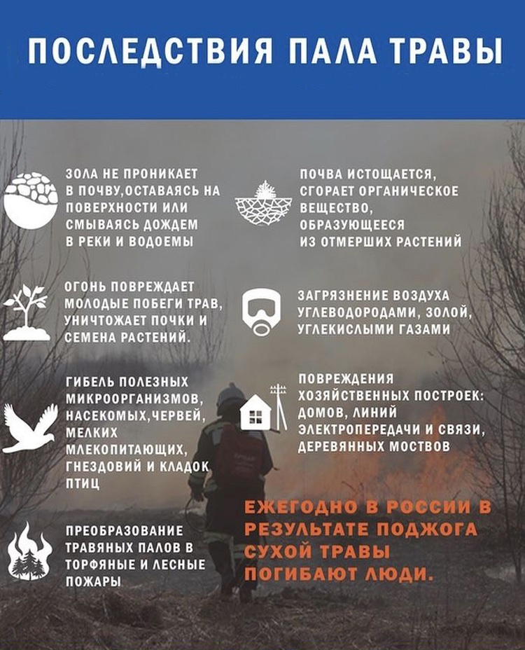 Весенние травяные палы: опасности и меры предупреждения пожаров.